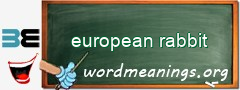 WordMeaning blackboard for european rabbit